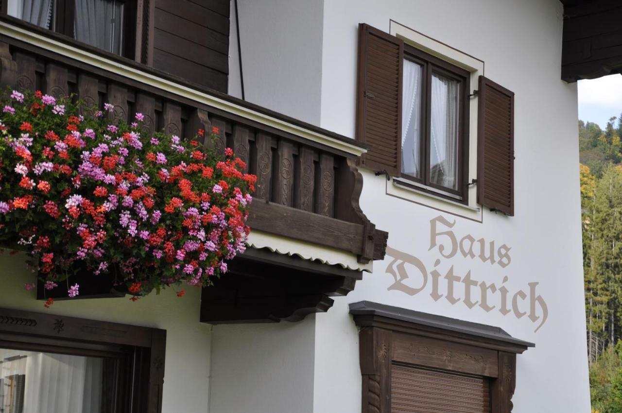 Haus Dittrich Daire Kirchberg in Tirol Dış mekan fotoğraf